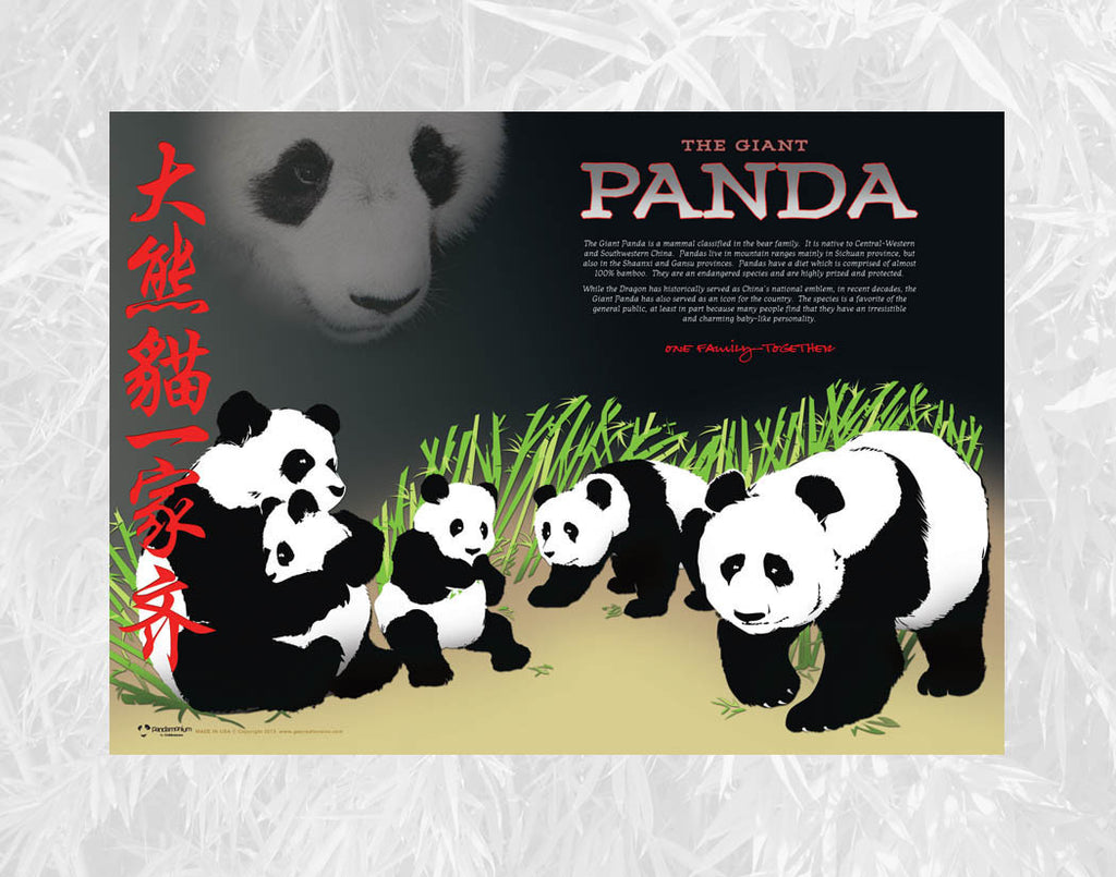 Panda Bear Poster, 11" x 14" Giant Panda Poster