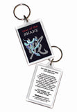 Year of the Snake Asian Oriental Chinese 2 pk Keyrings Birth Years: 1941, 53, 65, 77, 89, 01,13, 2025